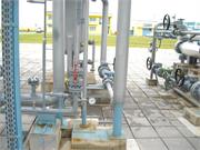 Banatski dvor slika36